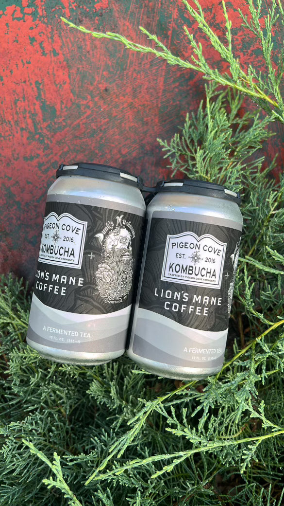 Dunk’s Lion's Mane Coffee Kombucha Online