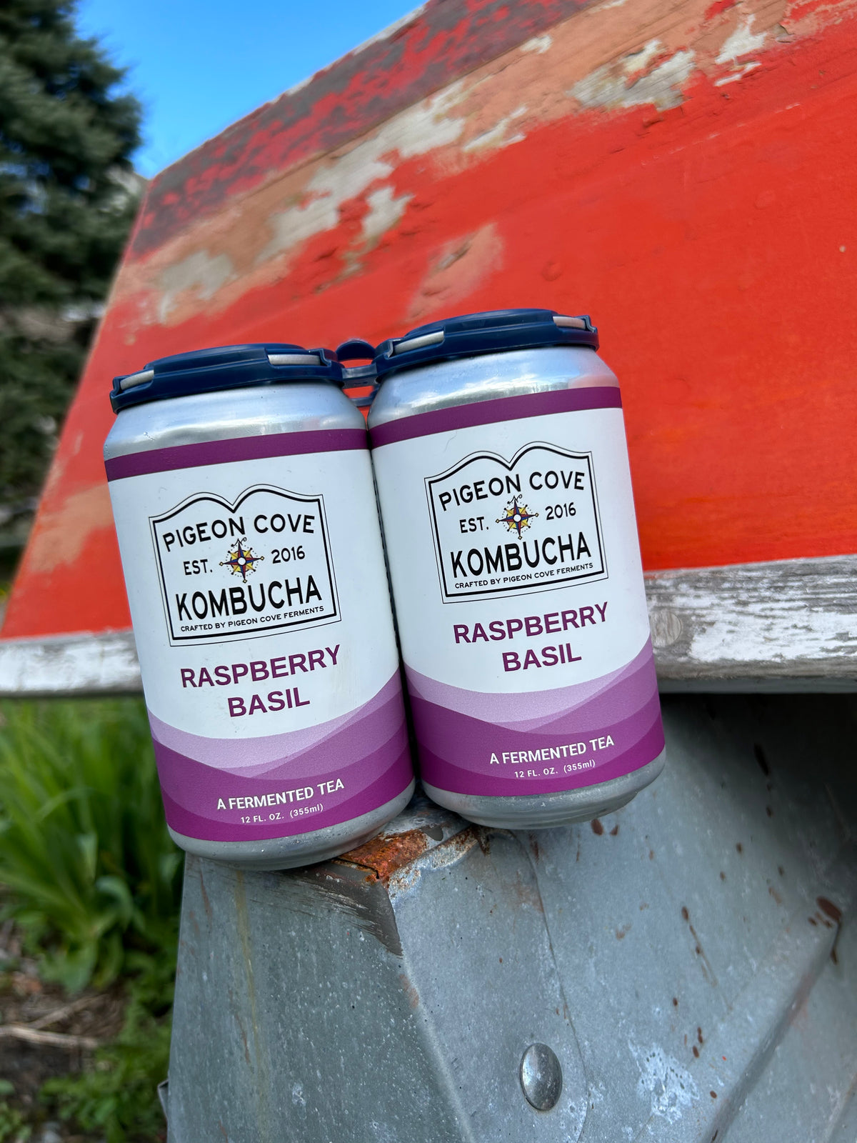 Rudy's Kombucha - Raspberry & Basil