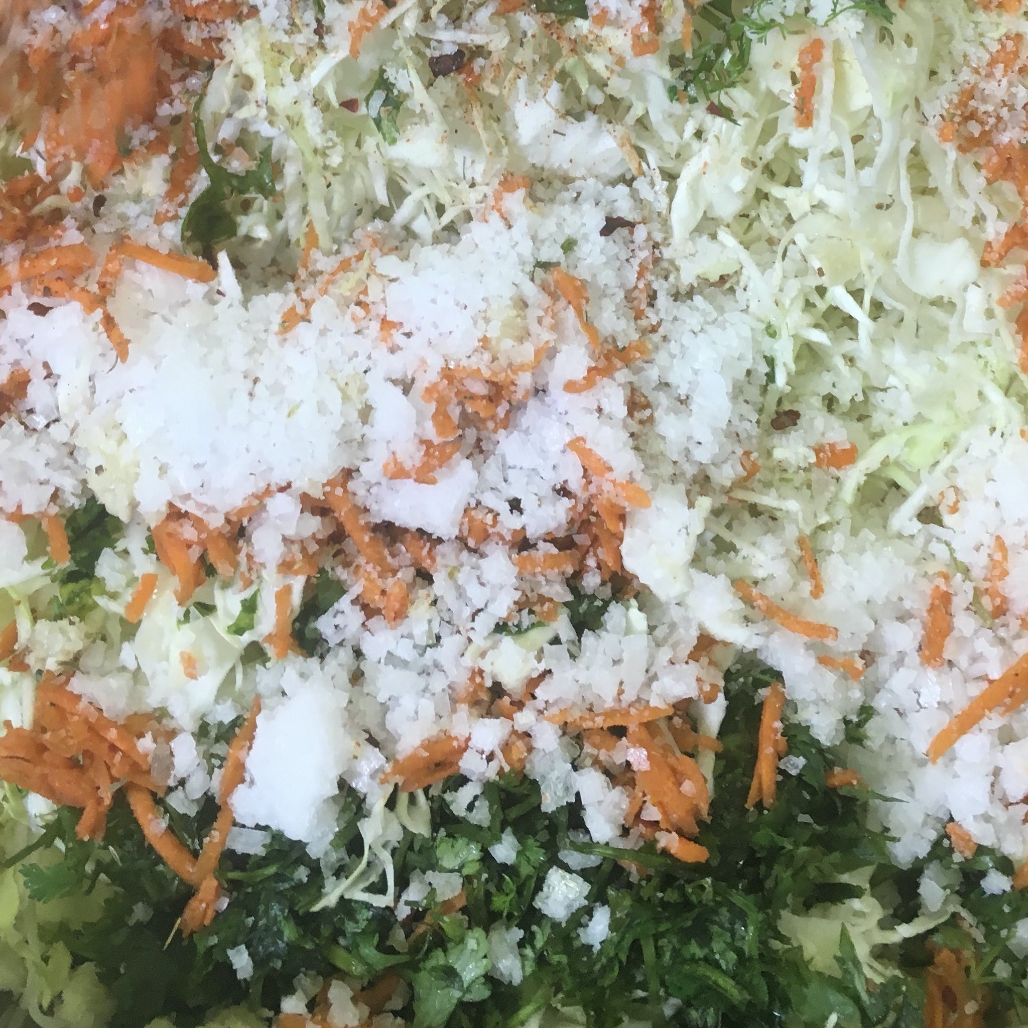 Salsa Sauerkraut Ingredients