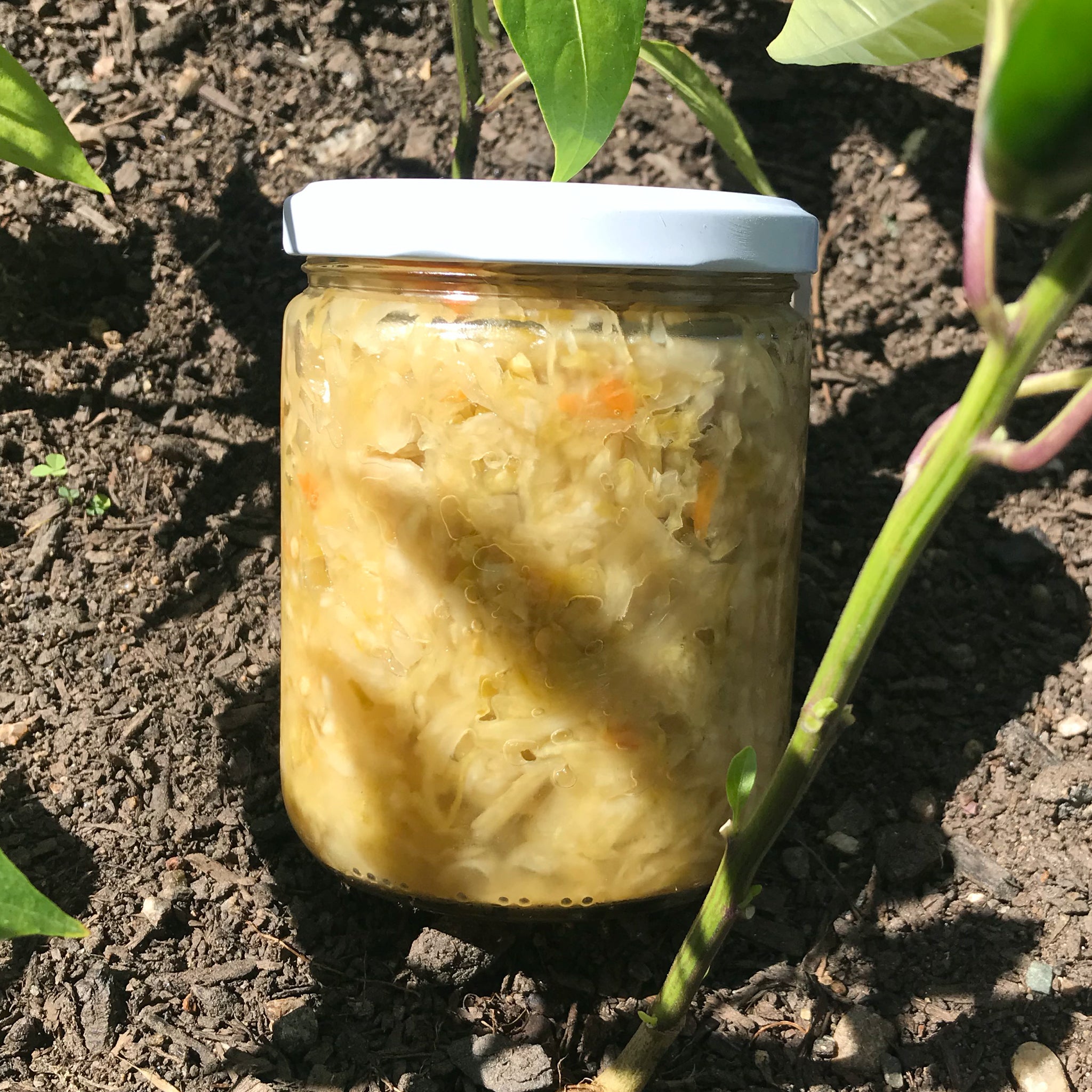 Jalapeno Carrot Sauerkraut