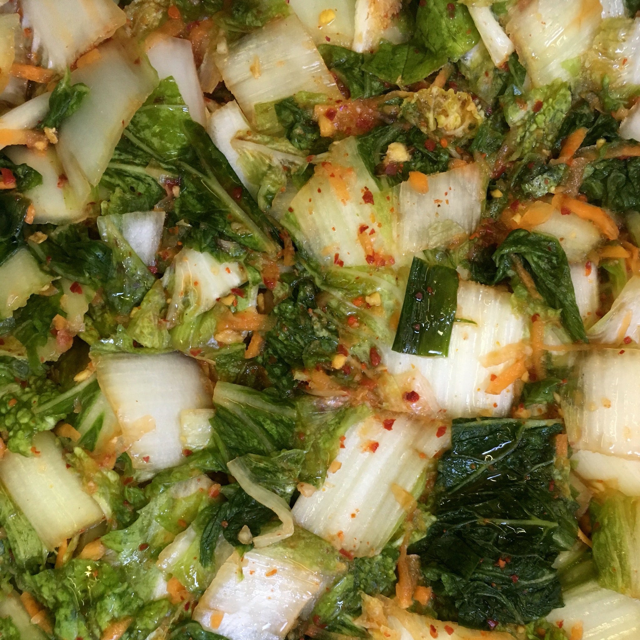 Vegan Kimchi Ingredients