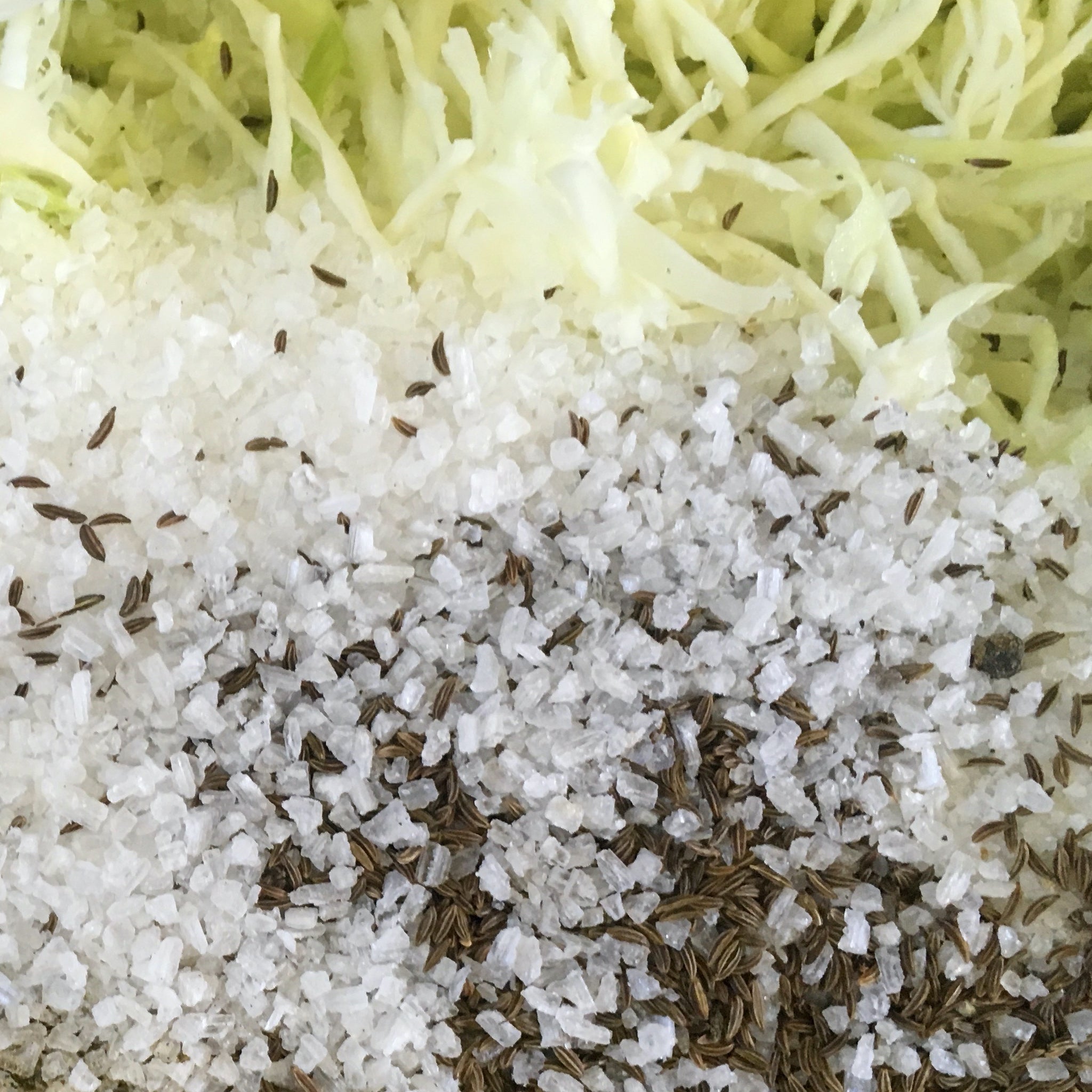 Peppered Caraway Sauerkraut Ingredients